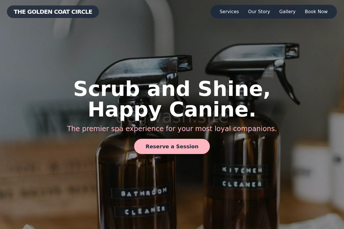 Shine Cleaning