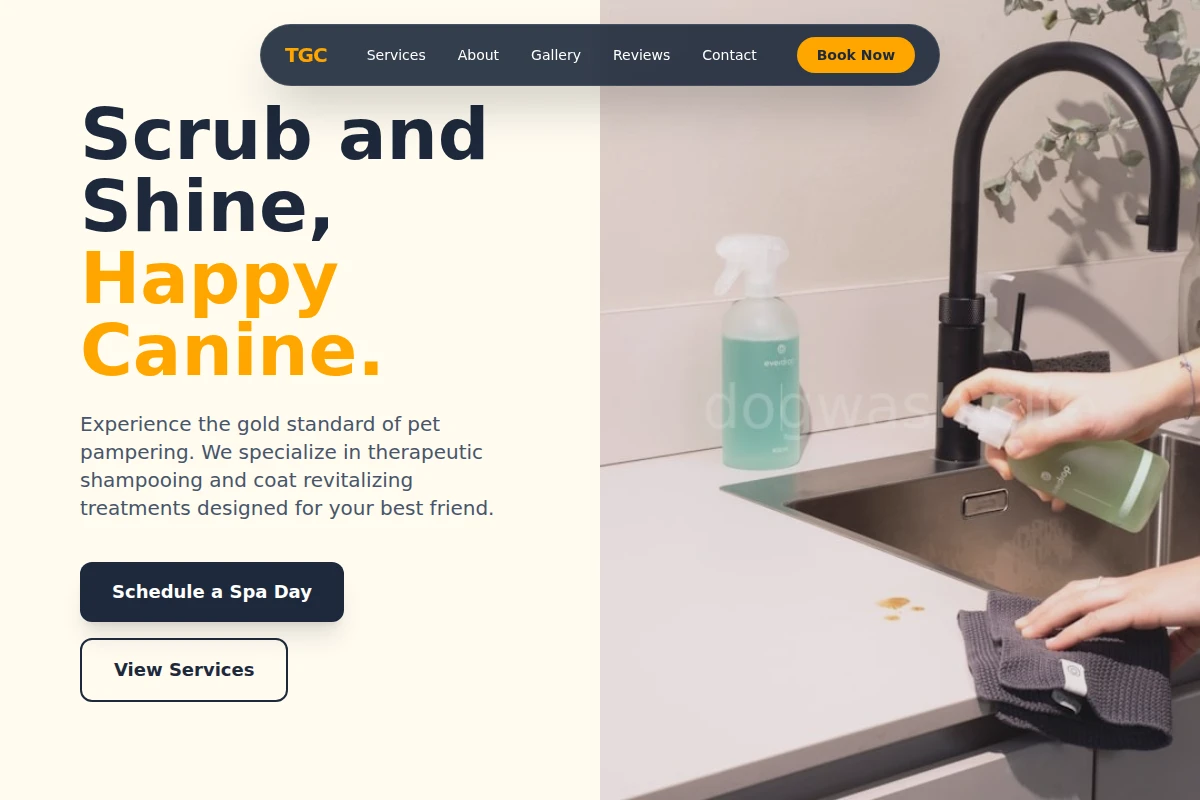 Shampoo Cleaning