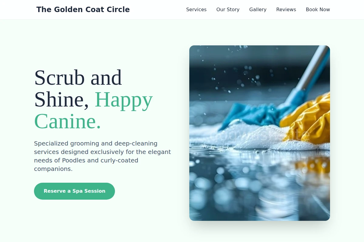 Poodle Cleaning