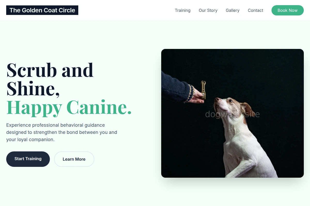 Collar Dog Training