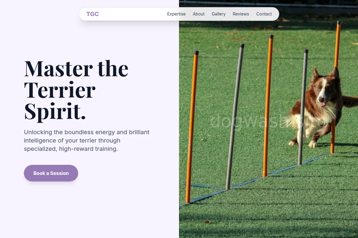 Terrier Dog Training