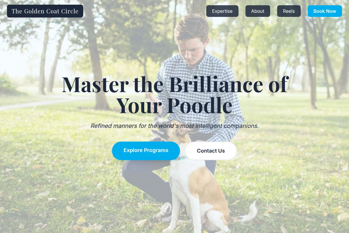 Poodle Dog Training