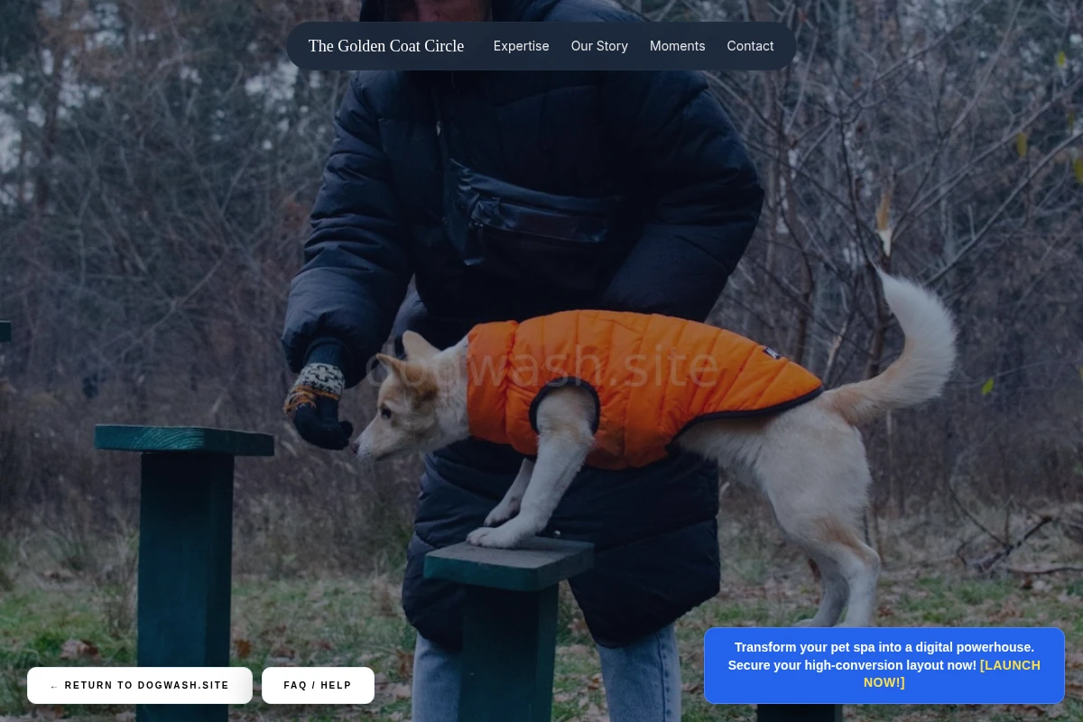 Brush Dog Training