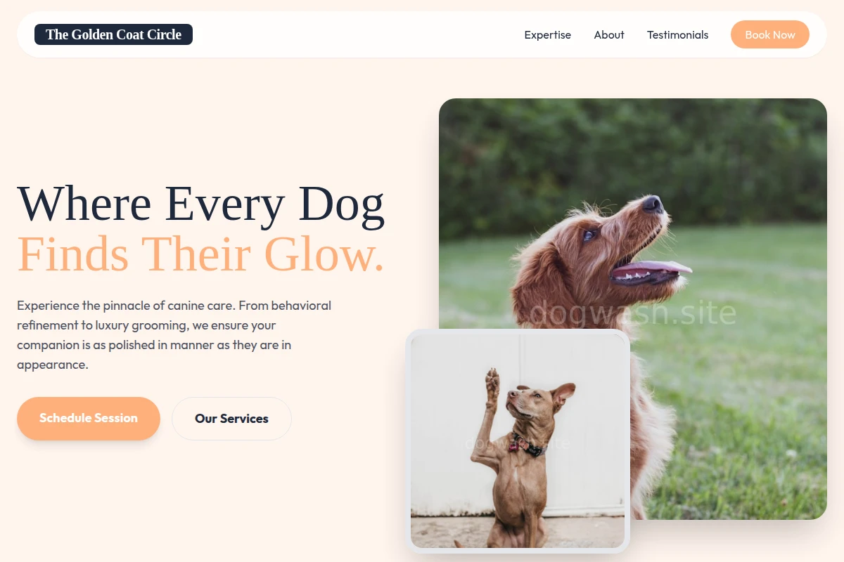 Brush Dog Training