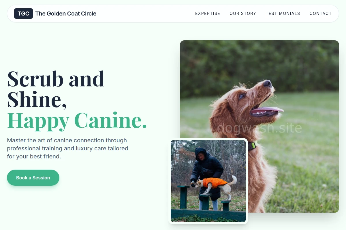Foam Dog Training