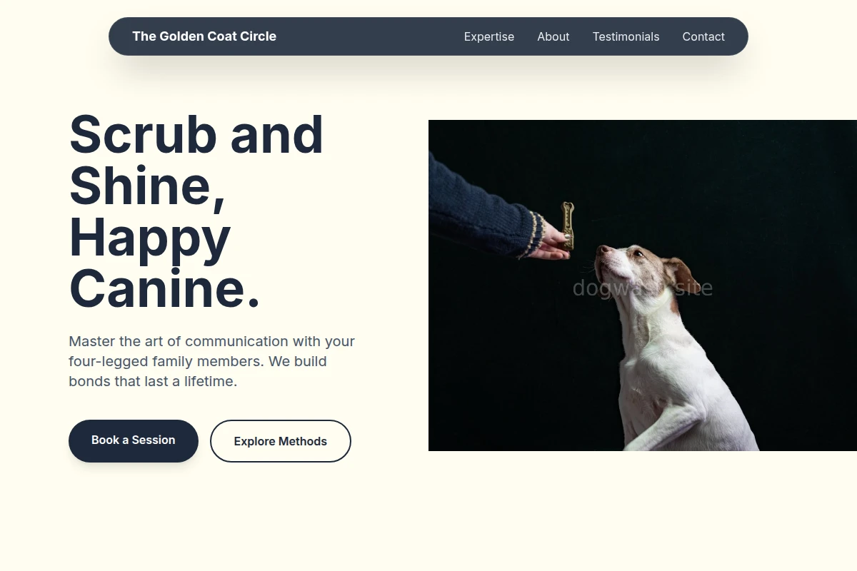 Bubble Dog Training