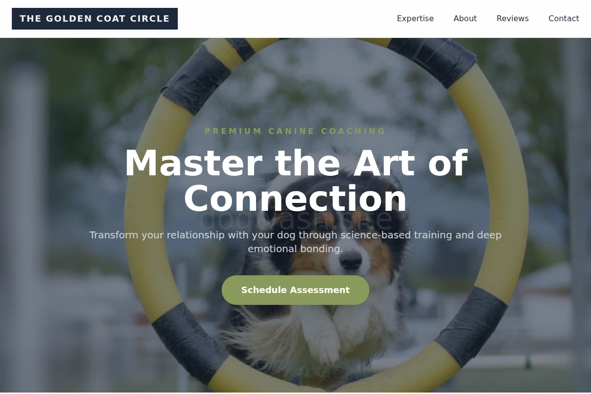 Collar Dog Training