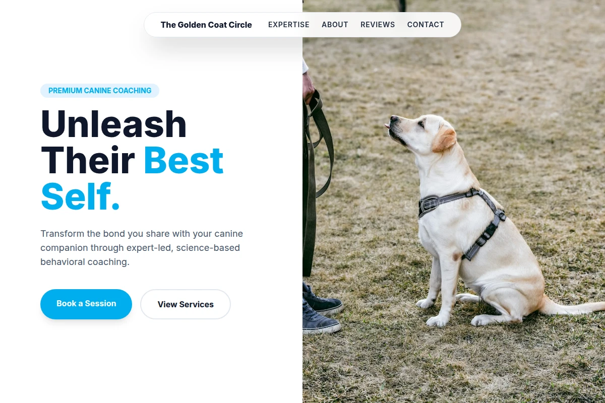 Professional Dog Training