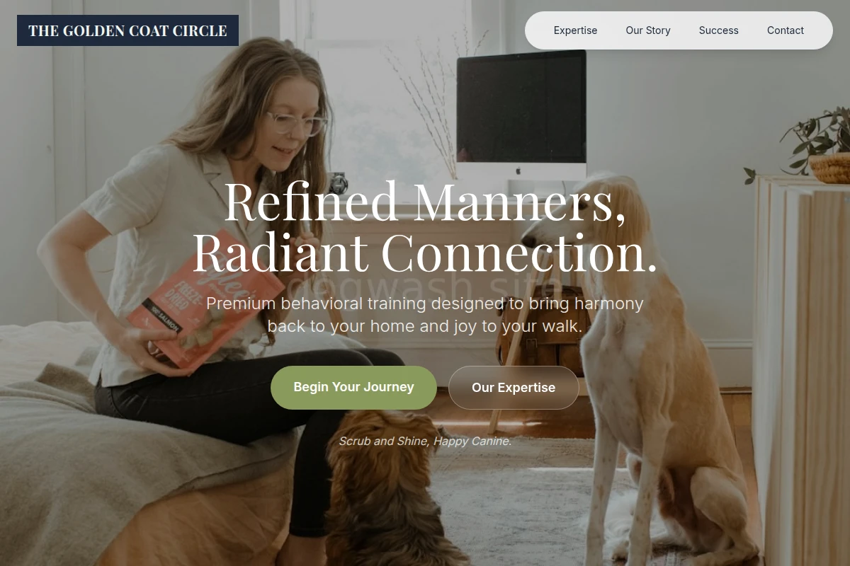 Collar Dog Training