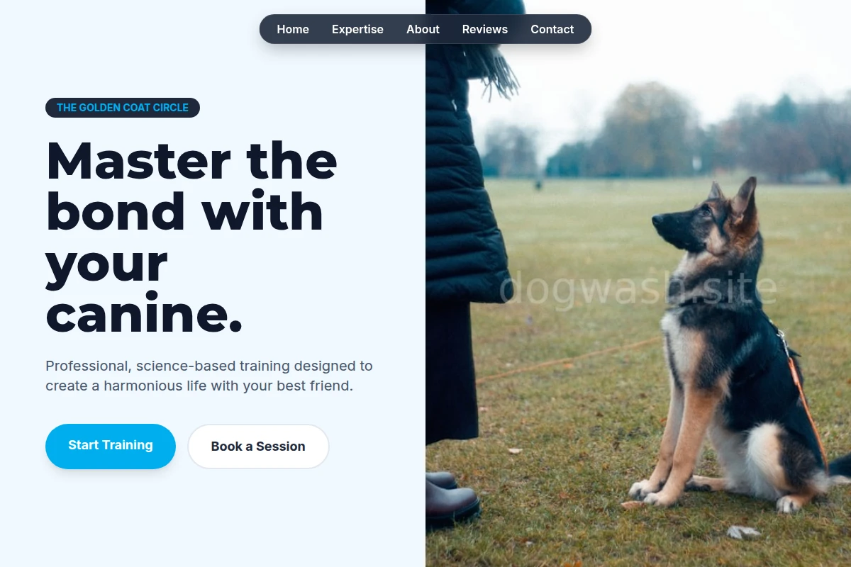 Collar Dog Training