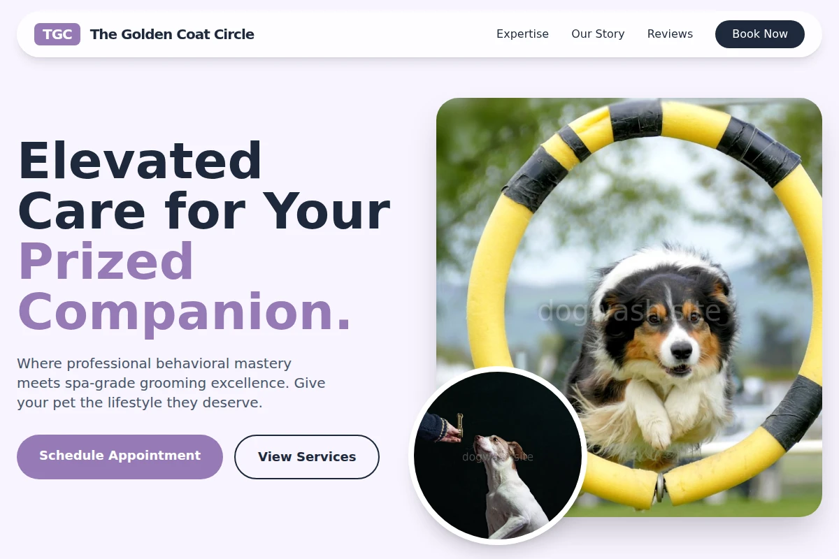 Coat Dog Training