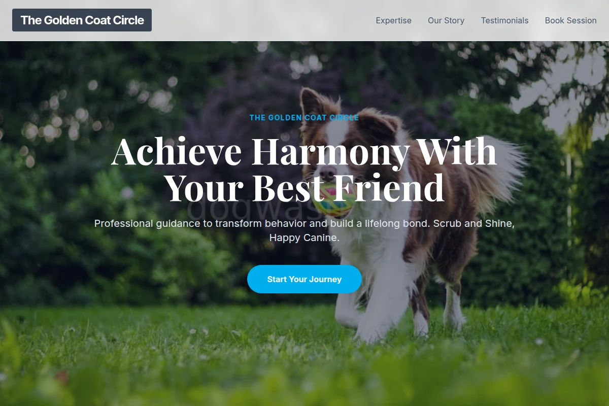 Collar Dog Training