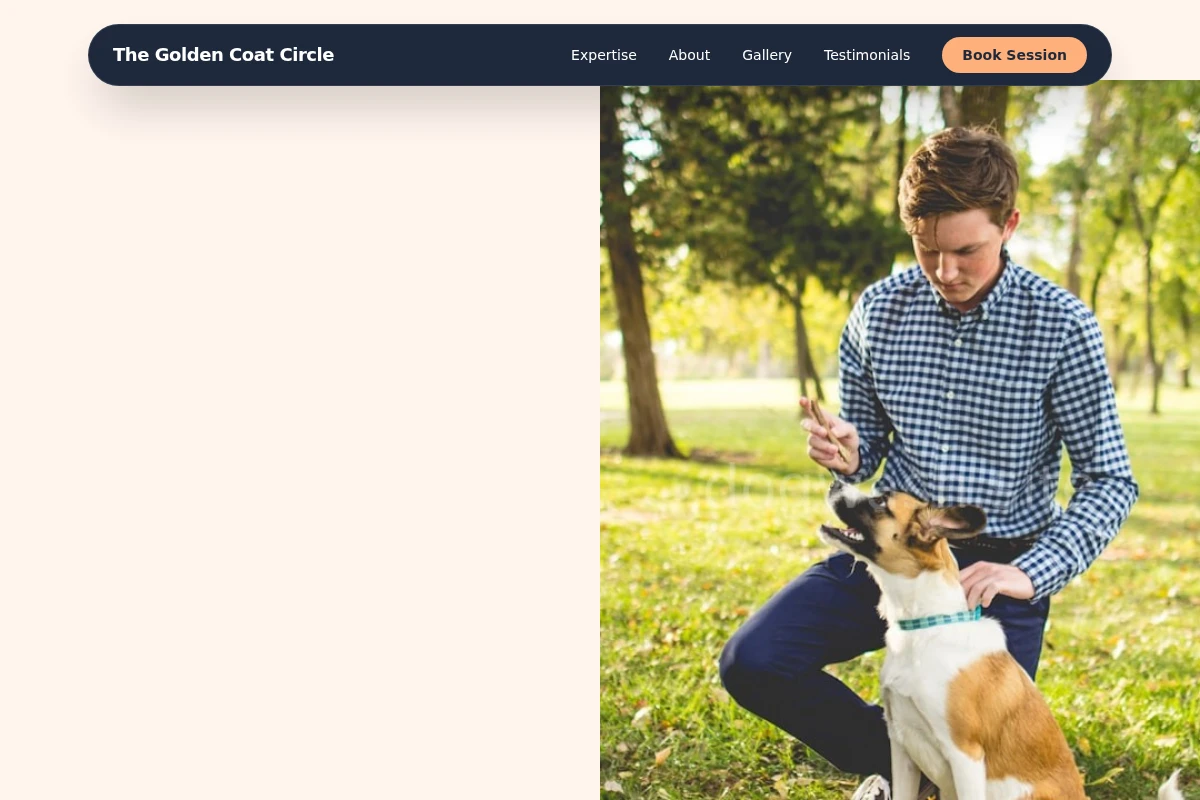Fetch Dog Training