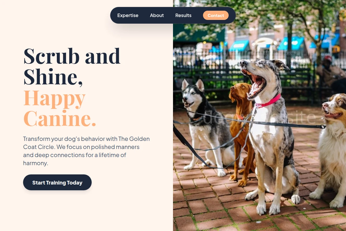 Tail Dog Training