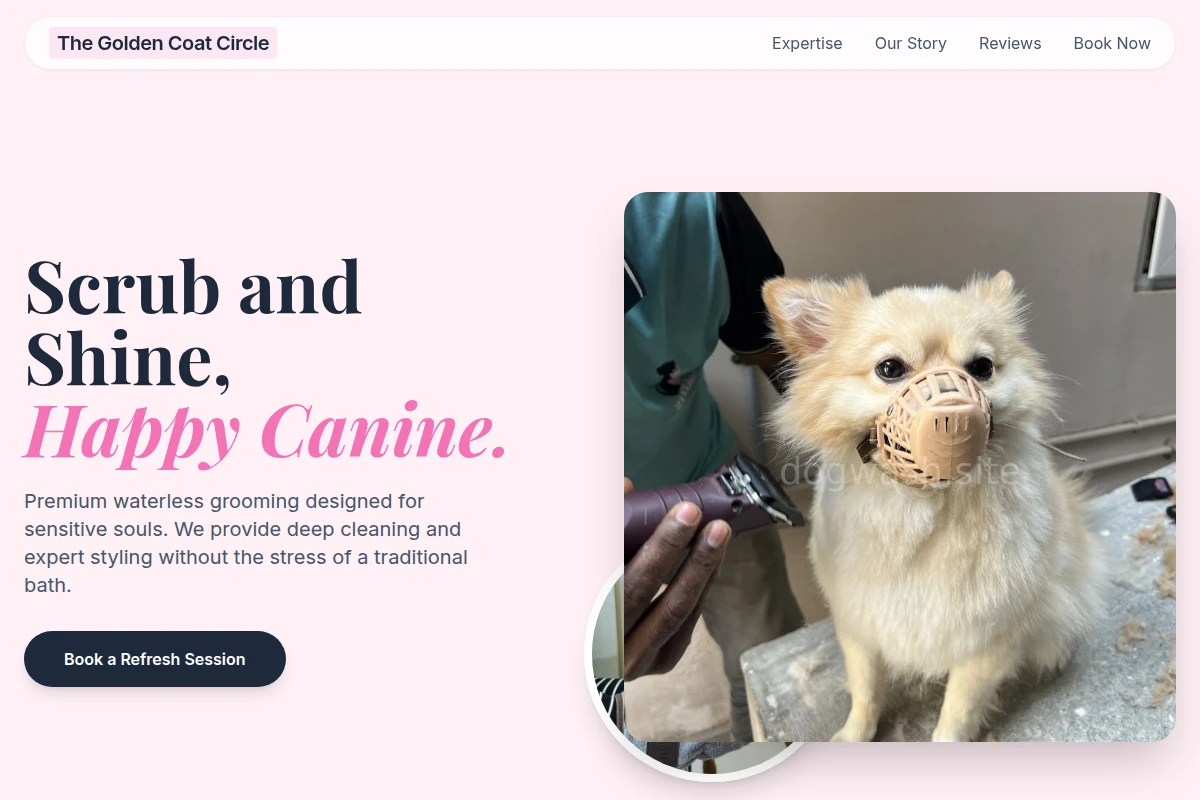 Dry Pet Grooming