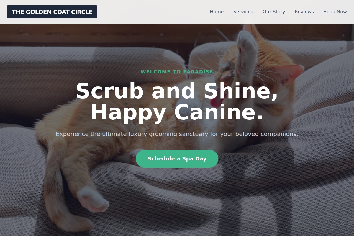 Shampoo Pet Grooming
