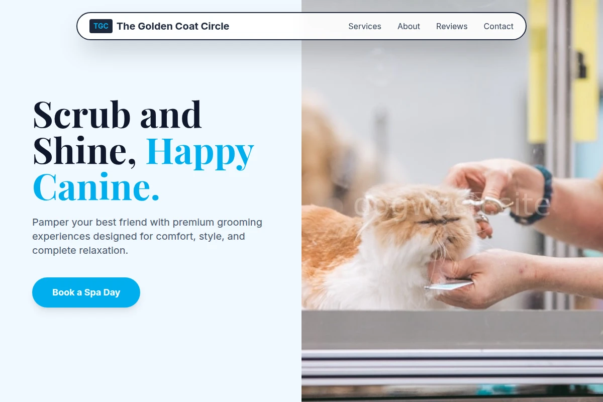 Paw Pet Grooming