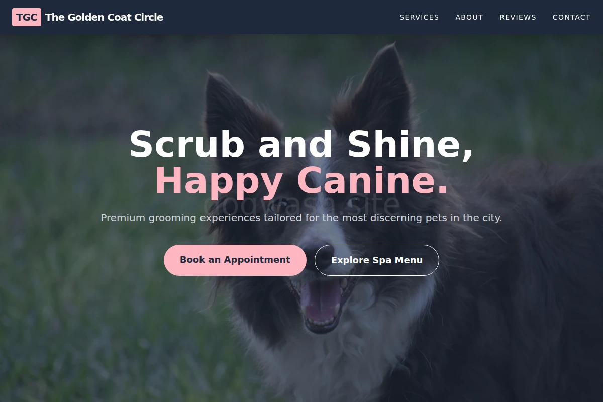 Wash Pet Services