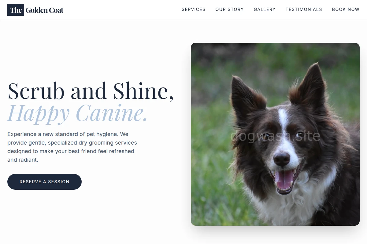 pet-services