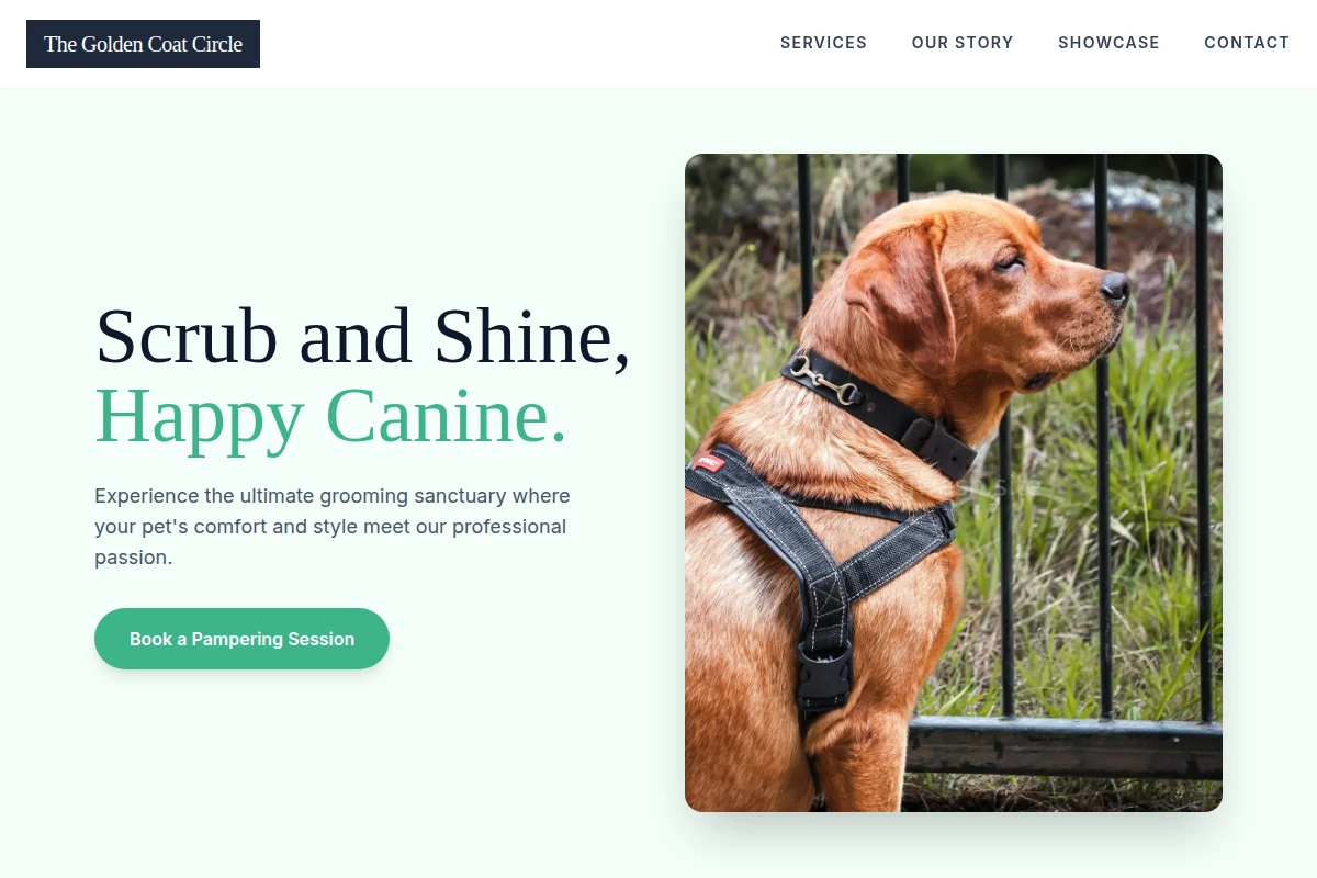 Collar Pet Services