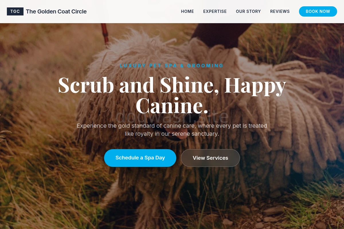 Shine Pet Services