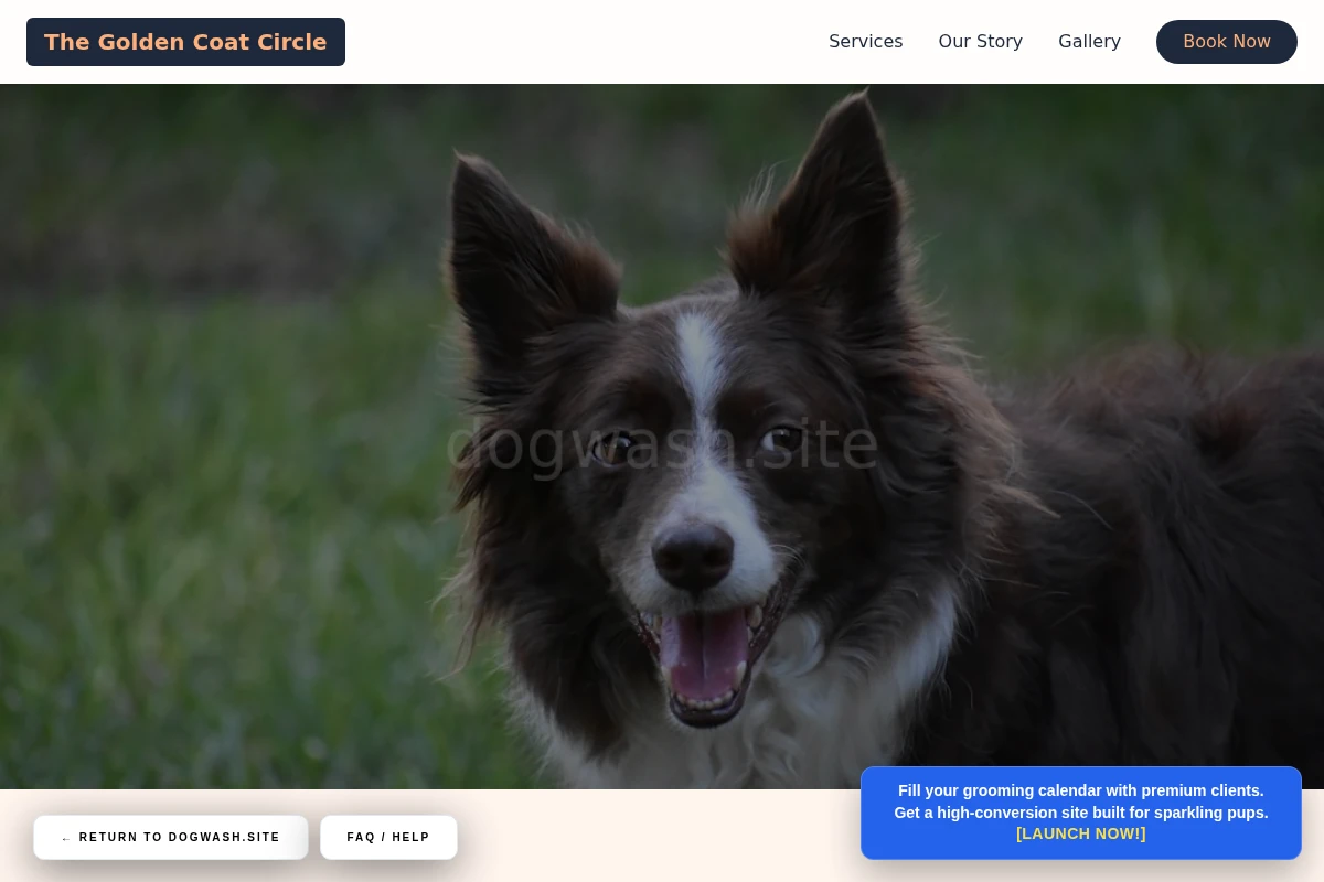 Dry Pet Services
