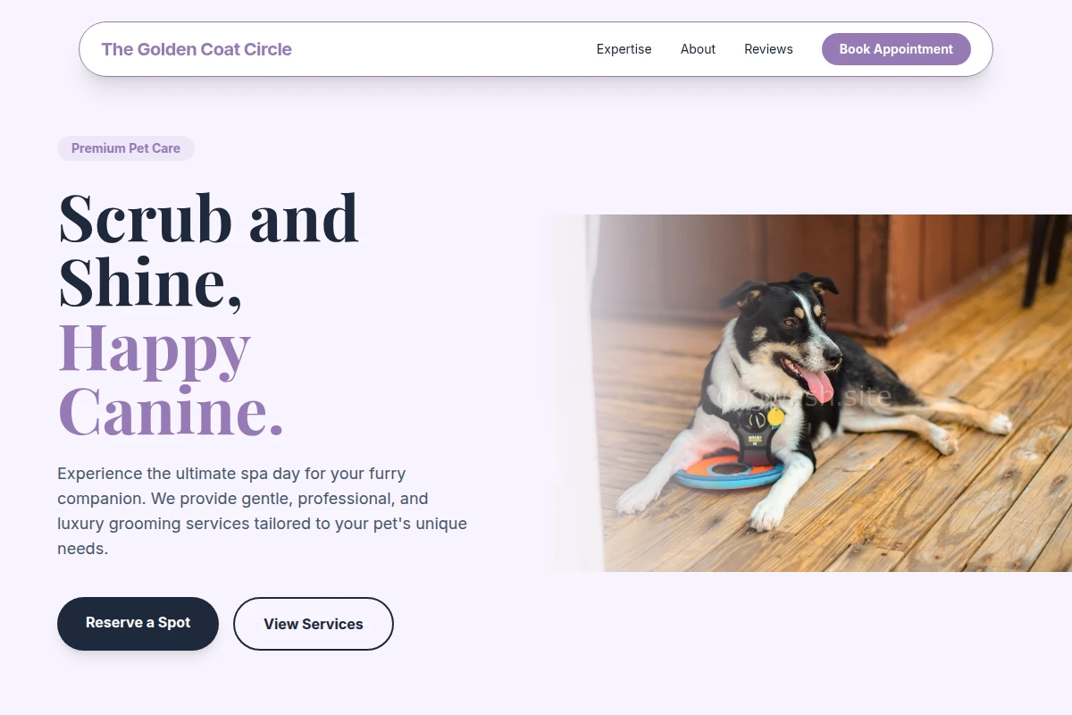 Groomer Pet Services