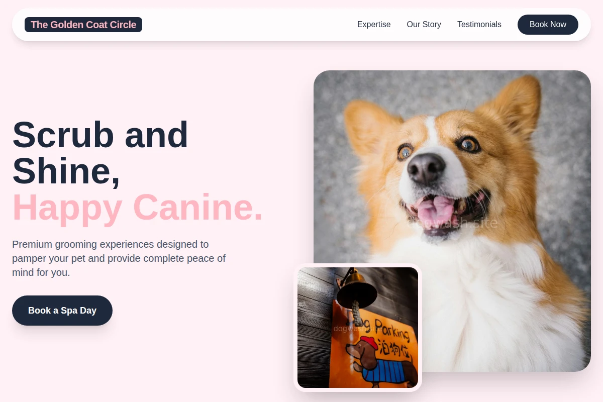 Wash Pet Services
