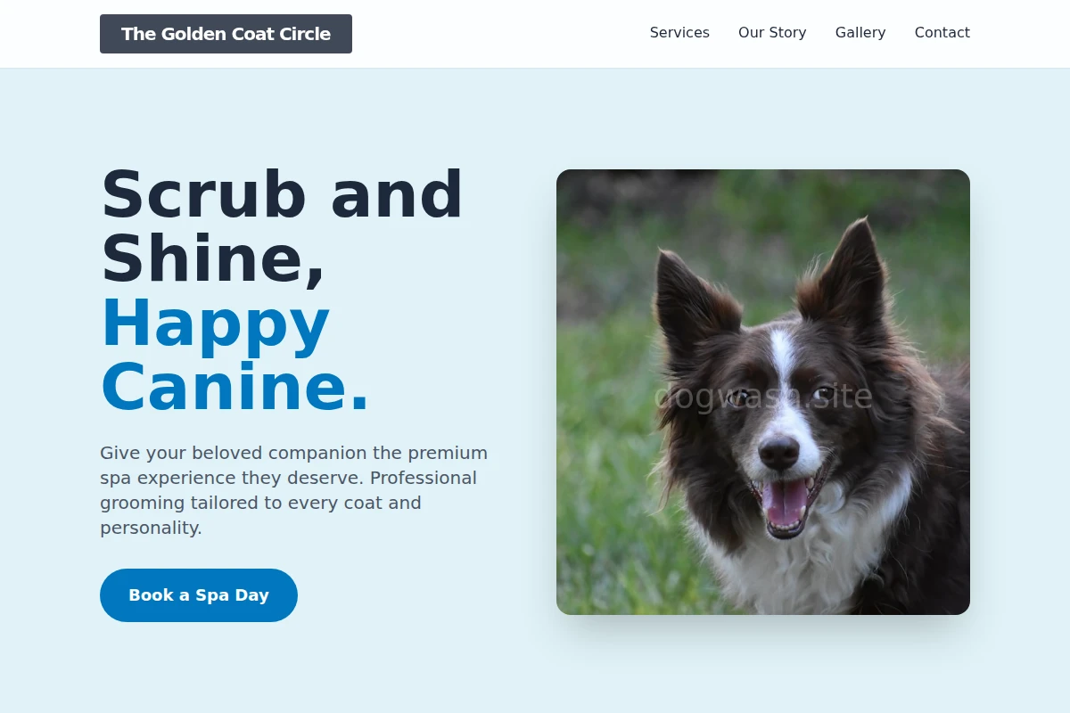 Treat Pet Services