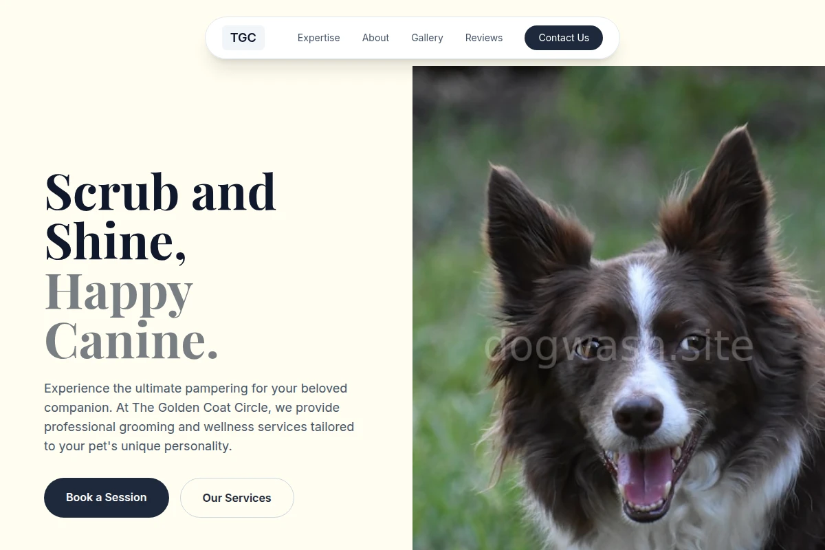 Treat Pet Services